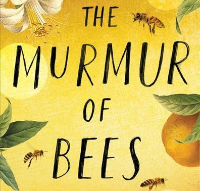 Let’s Talk Books! The Murmur Of Bees By Sofia Segovia - Warren-Newport ...